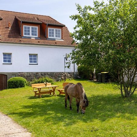 Ferienwohnung "Flori'S Ponyhof" Kröpelin Exterior foto