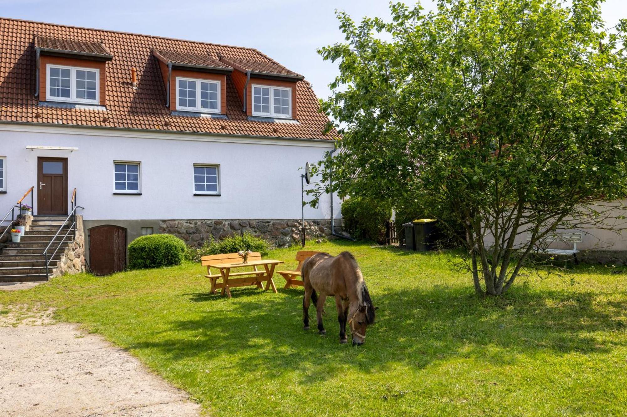 Ferienwohnung "Flori'S Ponyhof" Kröpelin Exterior foto